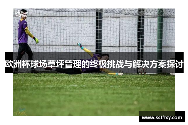 欧洲杯球场草坪管理的终极挑战与解决方案探讨