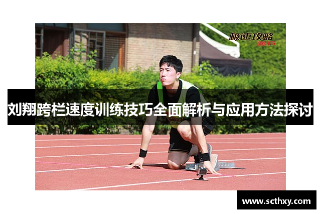 刘翔跨栏速度训练技巧全面解析与应用方法探讨