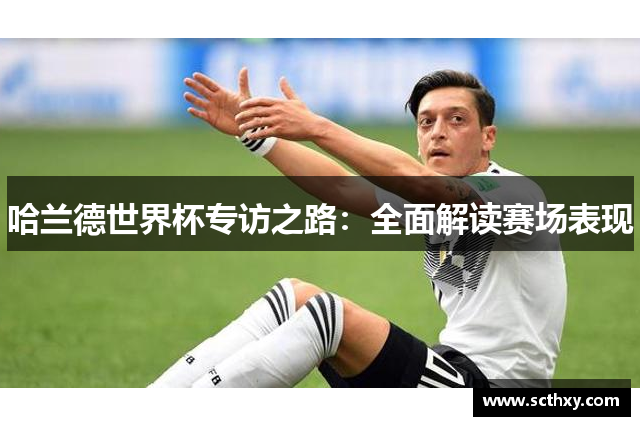哈兰德世界杯专访之路：全面解读赛场表现