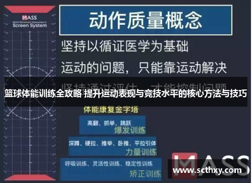 篮球体能训练全攻略 提升运动表现与竞技水平的核心方法与技巧