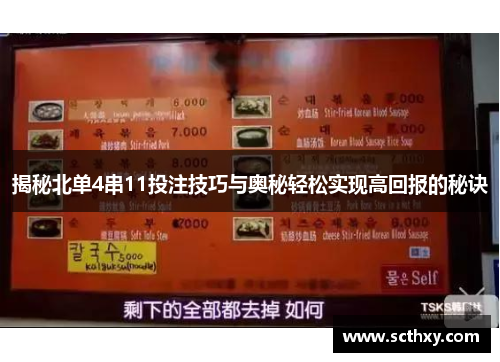 揭秘北单4串11投注技巧与奥秘轻松实现高回报的秘诀