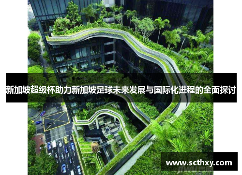 新加坡超级杯助力新加坡足球未来发展与国际化进程的全面探讨