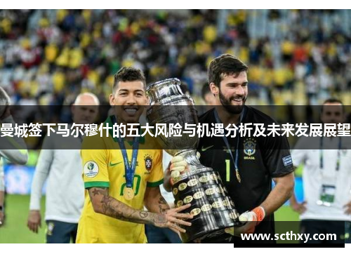 曼城签下马尔穆什的五大风险与机遇分析及未来发展展望